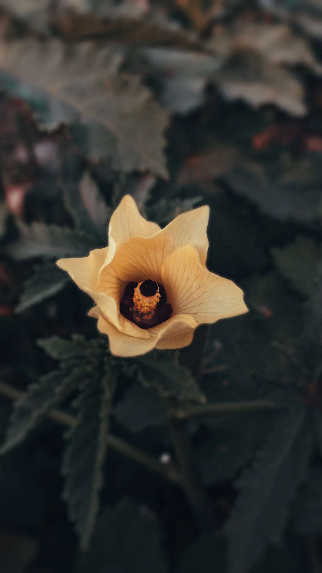 Inspiration från naturen: Små skatter av smyckesdesign