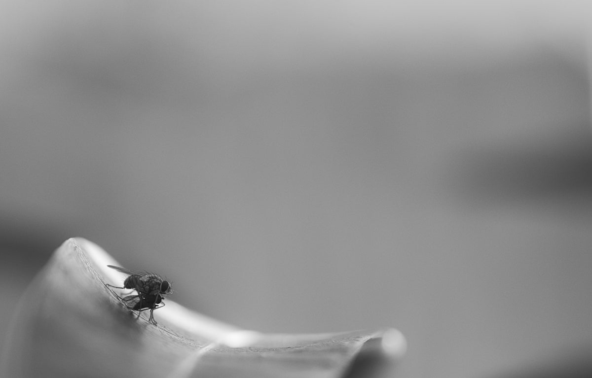 Skapandet av tematisk smyckesdesign och hur det påverkar känslor - Hilmas Pyssel