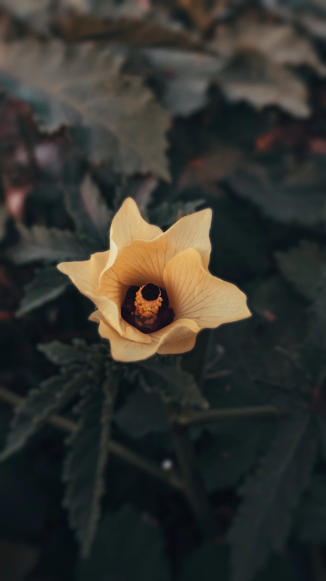 Inspiration från naturen Små skatter av smyckesdesign