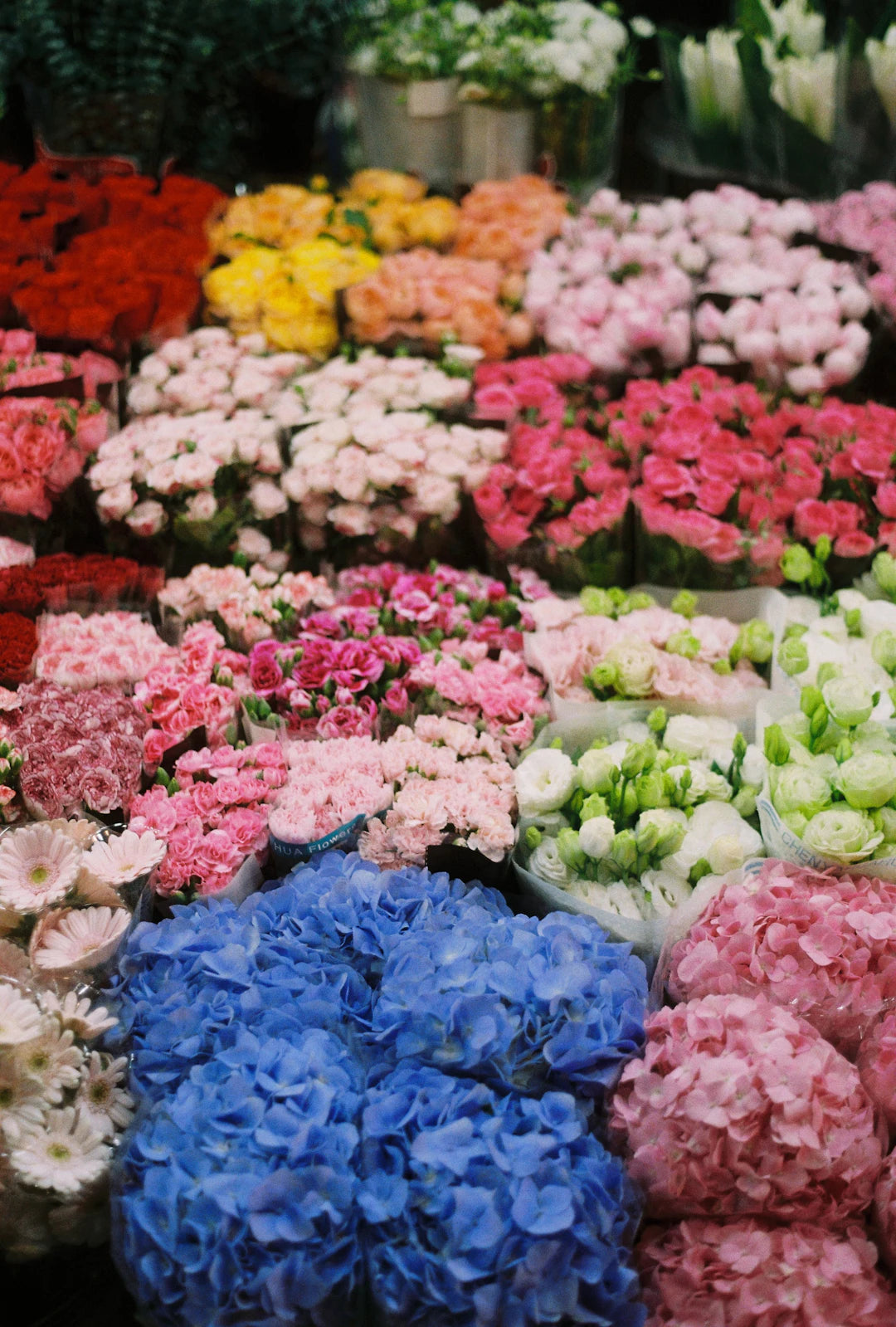 Färgglada tulpanpärlor för kreativa smycken