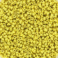 Miyuki Seed Beads - Duracoat Galvanized Zest 15/0, 10gram Miyuki