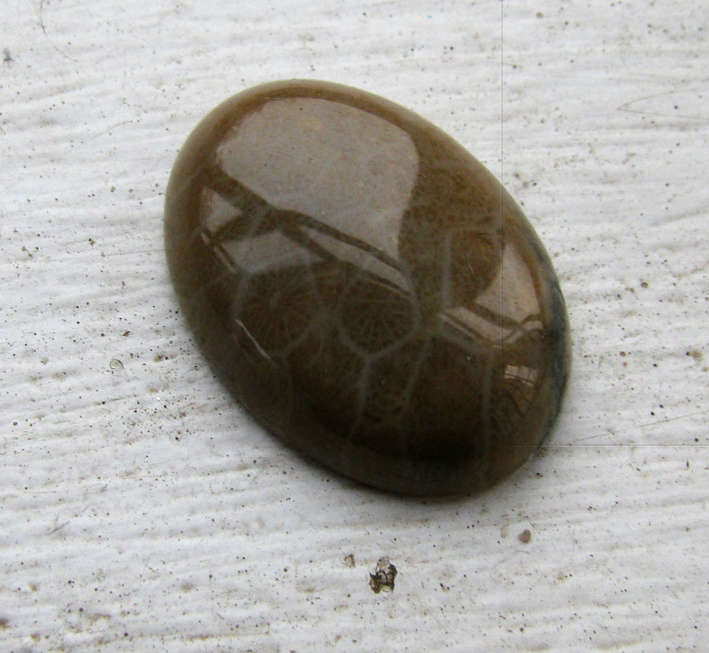 Cabochon Chrysanthemum Stone/Fosil Korall - Oval 25x18mm 1 styck Hilmas Pyssel
