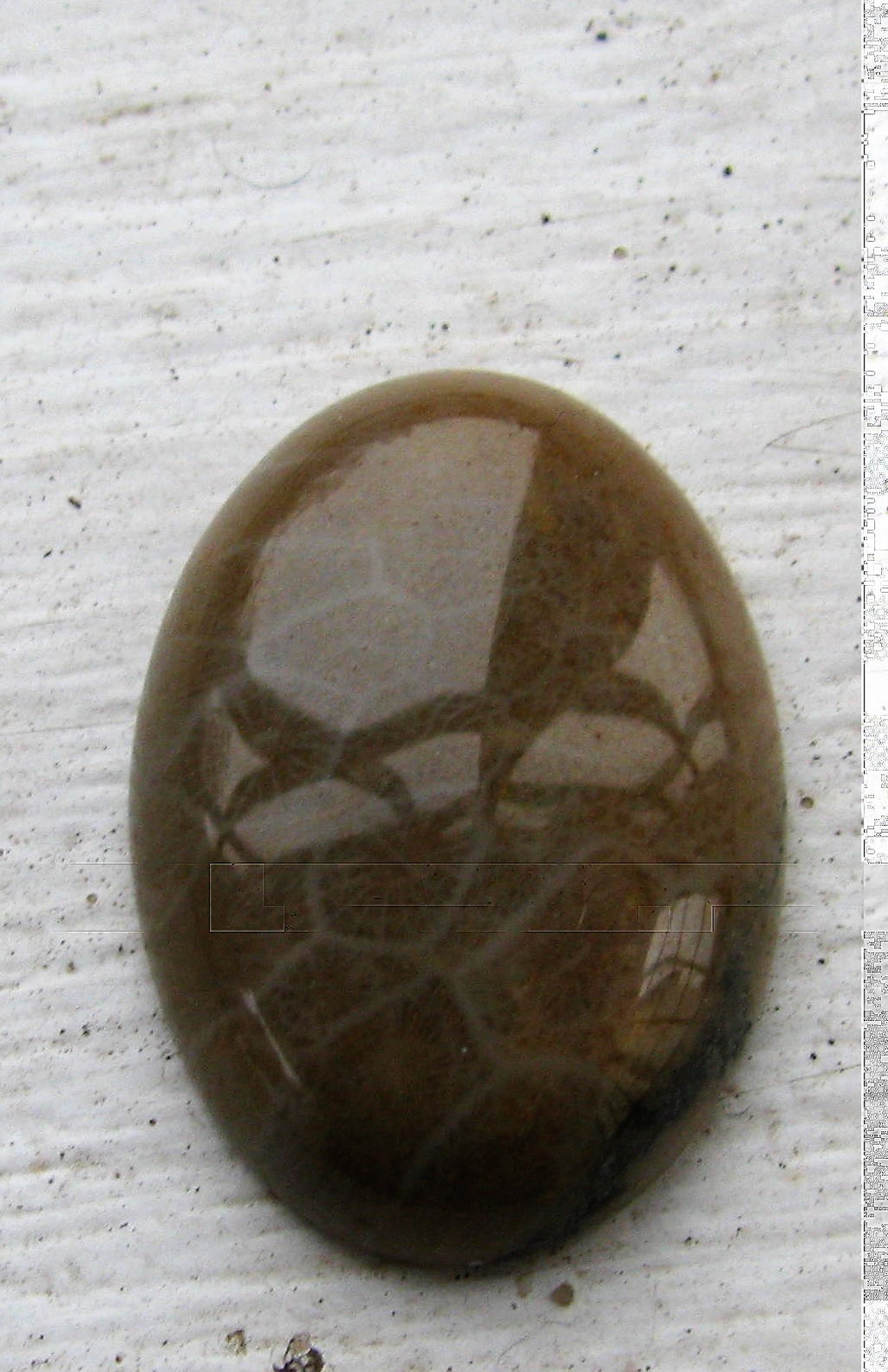Cabochon Chrysanthemum Stone/Fosil Korall - Oval 25x18mm 1 styck Hilmas Pyssel