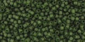 TOHO Seed Beads - Transparent-Frosted Olivine 15/0, 10 gram TOHO