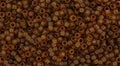 TOHO Seed Beads - Transparent-Frosted Umber 15/0, 10 gram TOHO
