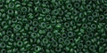 TOHO Demi Round - Transparent Kale 11/0 5 gram TOHO