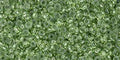 TOHO Demi Round - Transparent - Greenery 11/0, 5gram TOHO