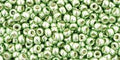 TOHO Seed Beads - Galvanized Sea Foam (11-560) 11/0, 10 gram TOHO