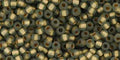 TOHO Seed Beads - Gold-Lined Frosted Black Diamond 11/0, 10gram TOHO