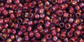 TOHO Seed Beads - Inside-Color Rainbow Alexandrite/Opaque Orange-Lined 11/0, 10 gram TOHO