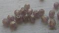 Tjeckiska Firepolish - Sueded Gold Med Amethyst 4 mm, 50-pack Hilmas Pyssel