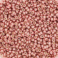 Miyuki Seed Beads - Duracoat Galvanized DK Coral 15/0, 10 gram Miyuki