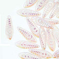 Dagger - Lila Opal Laser Eye 5x16mm, 1 sträng Hilmas Pyssel