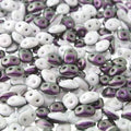 SuperDuo Duets - Polychrome Black Raspberry & Cream 10 gram Matubo