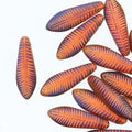Dagger - Orange Transparent Matt Laser Feather 5x16mm, 1 sträng Hilmas Pyssel