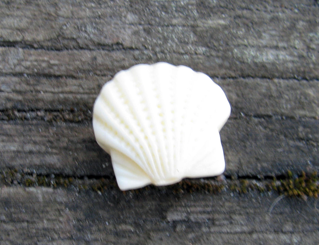 Imiterad Korall - Snäcka, Ivory 1 styck Hilmas Pyssel