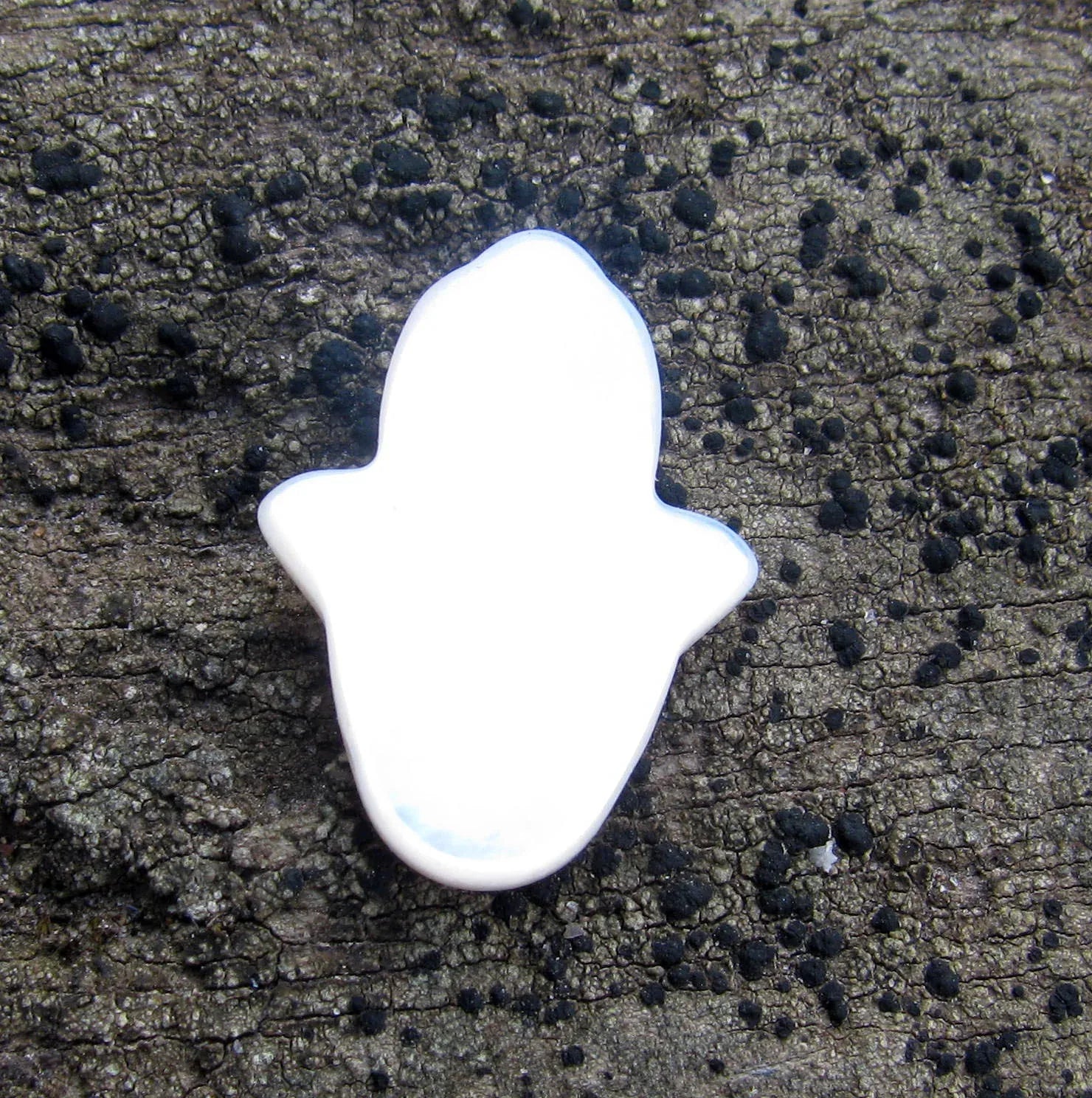 Snäckskals pärla - Fatimas hand 1 styck Hilmas Pyssel