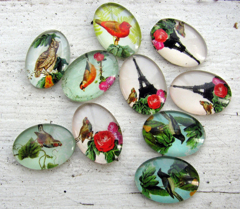 Bildcabochon Glas - Oval Fågelmix 18x13mm 10-pack Hilmas Pyssel