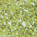 Matubo Gemduo - Olivine Gold Splash 8x5mm Matubo