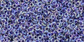 TOHO Demi Round - Inside Color Rainbow Crystal Grape-Lined 11/0, 5gram TOHO
