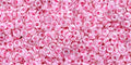 TOHO Demi Round - Inside Color Crystal Baby Pink-Lined 11/0, 5gram TOHO