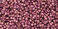TOHO seed beads - Gold-Lustered Amethyst 15/0, 10 gram TOHO