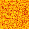 Miyuki Seed Beads - Duracoat Opaque Light Squash 15/0, 10 gram Miyuki