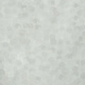 Miyuki Seed Beads - Transparent Matte Crystal 11/0, 10 gram Miyuki