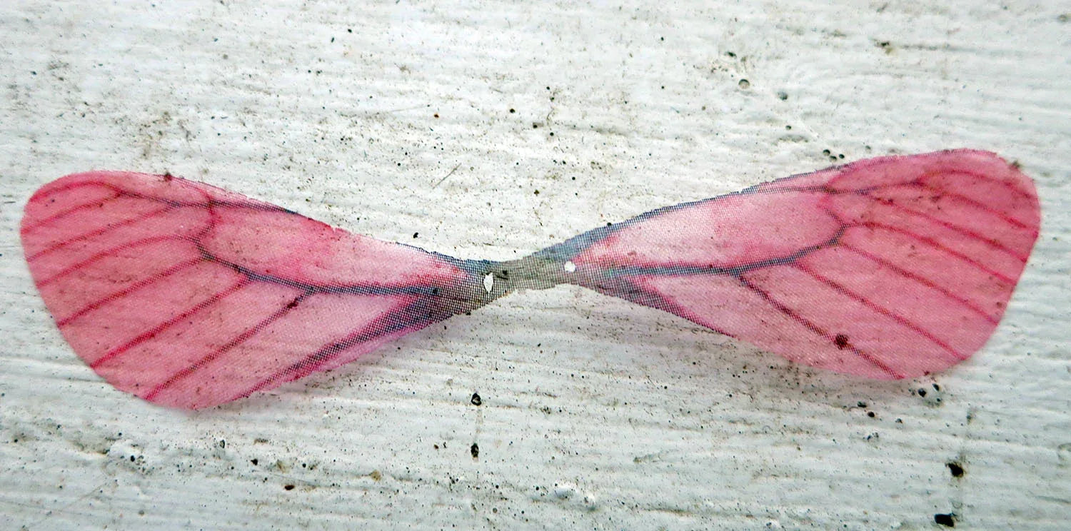 Fjärilsvinge Organza - Rosa 1 styck Hilmas Pyssel
