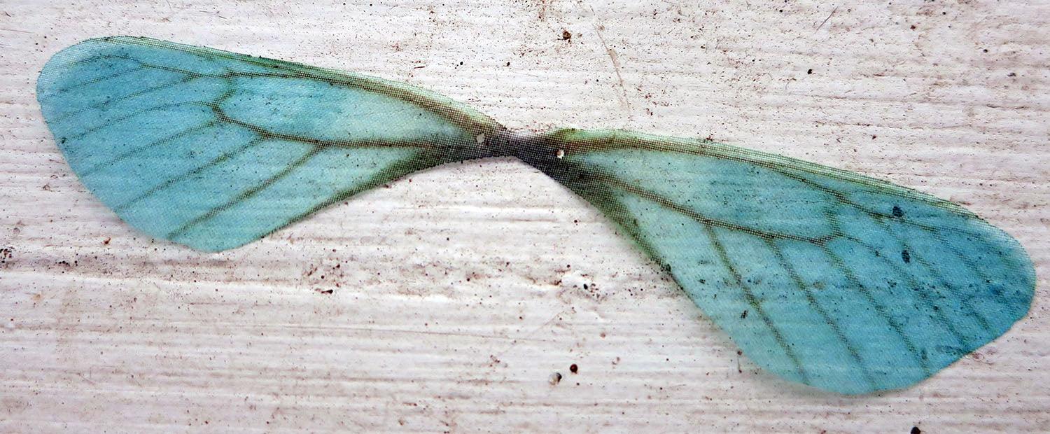 Fjärilsvinge Organza - Blå 1 styck Hilmas Pyssel