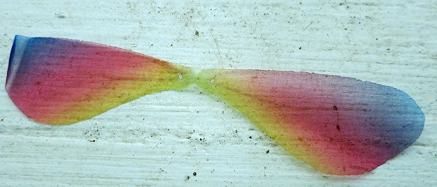 Fjärilsvinge Organza - Flerfärgad 1 styck Hilmas Pyssel