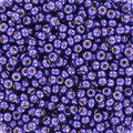 Miyuki Seed Beads - Duracoat Galvanized Lilac Night 11/0, 10 gram Miyuki
