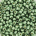 Miyuki seed beads - Duracoat Galvanized Sea Green 8/0, 10 gram Miyuki