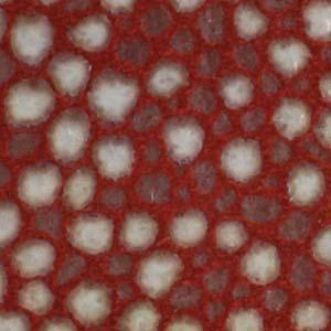 Create Recklessly - Läder Coral Drop 25,5x5cm 1 styck Beadsmith