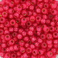 Miyuki Seed Beads - Duracoat Silverlined Dyed Flamingo 8/0, 10g Miyuki