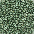 Miyuki Seed Beads - Duracoat Galvanized Sea Green 11/0, 10 gram Miyuki