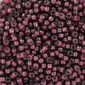 Miyuki Seed Beads - Fancy Lined Aubergine 11/0, 10 gram Miyuki