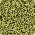 Miyuki Seed Beads - Duracoat Opaque Cactus 15/0, 10 gram Miyuki