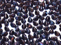 Pinch Bead - Jet Iris 5mm, 10 gram Hilmas Pyssel