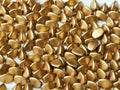 Pinch Bead - Aztec Gold 5mm, 10 gram Hilmas Pyssel