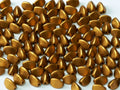 Pinch Bead - Brass Gold 5mm Hilmas Pyssel