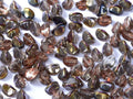 Pinch Bead - Crystal Sliperit 5mm, 10 gram Hilmas Pyssel