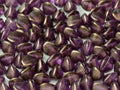 Pinch Bead - Crystal Regal Golden Touch 5mm, 10 gram Hilmas Pyssel
