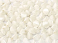 Pinch Bead - Chalk white shimmer 5mm, 10 gram Hilmas Pyssel