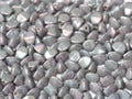 Pinch Bead - Chalk White Iris 5mm, 10 gram Hilmas Pyssel