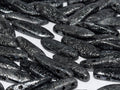 2-hole Dagger - Etched Jet Hematite 5x16mm, 10-pack Hilmas Pyssel
