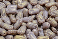 Tulip Bud Bead - Lila / Gold 12x8mm, 20-pack Hilmas Pyssel