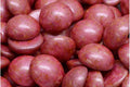 Cabochon - Opaque Rose Spotted 16mm 2-pack Hilmas Pyssel