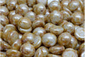 Cabochon - Caraway 10mm, 10-pack Hilmas Pyssel