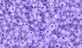 Matubo Seed bead 8/0 - Crystal Violet Neon Matubo